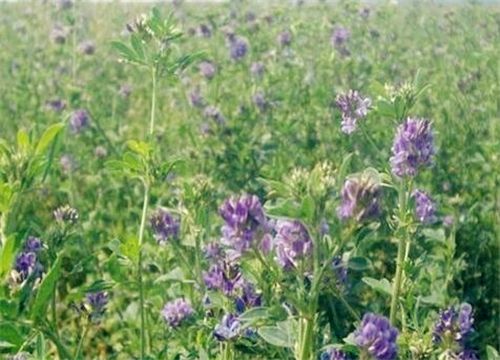 ��ޣ-����