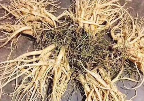 ����-����