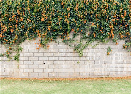 ���̻�-��ͼ��