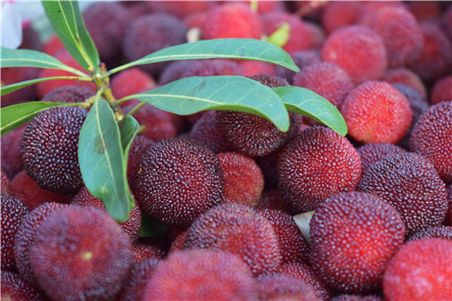 ��÷-��ͼ��