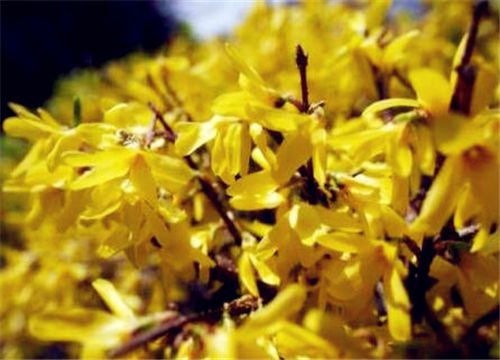 ����-����