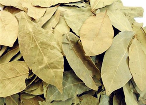 ��Ҷ-����