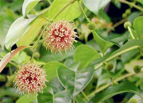 ����-����