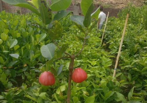 ����-����