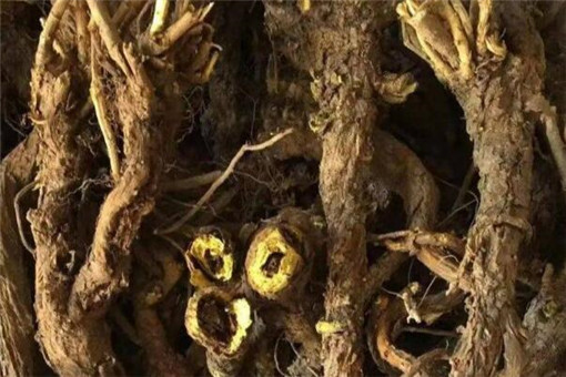 ����-����