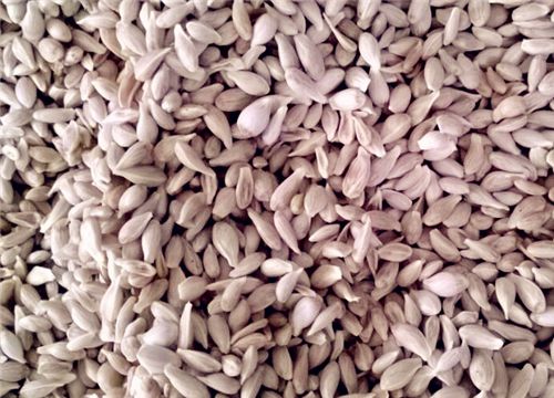 �������-����