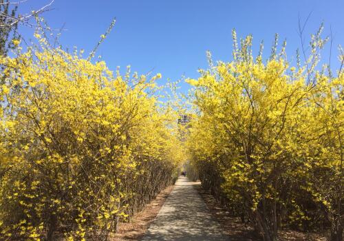 ����-��ͼ��