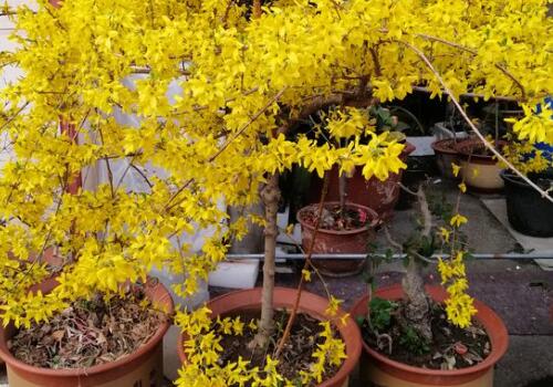 ����-����