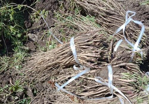 ����-����