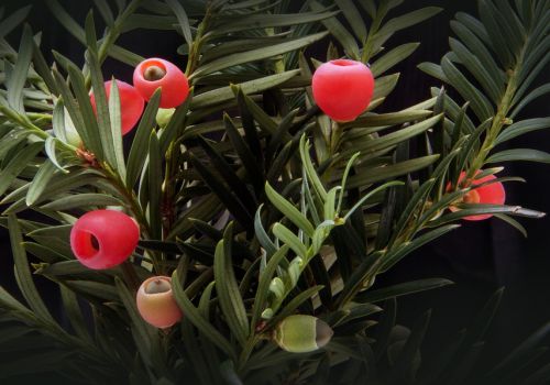 �춹ɼ��ʵ��д