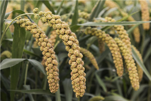 ����-��ͼ��