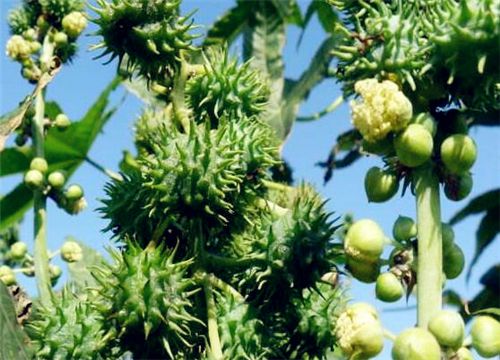 ����-����