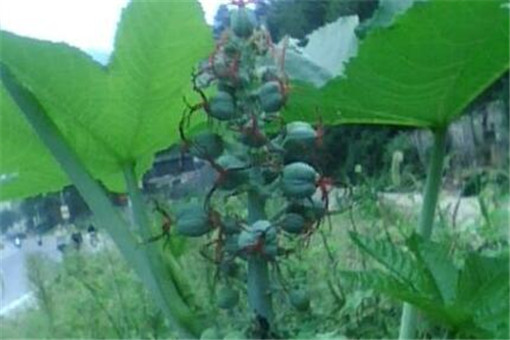 ����-����