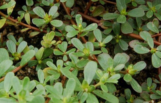 ������-����