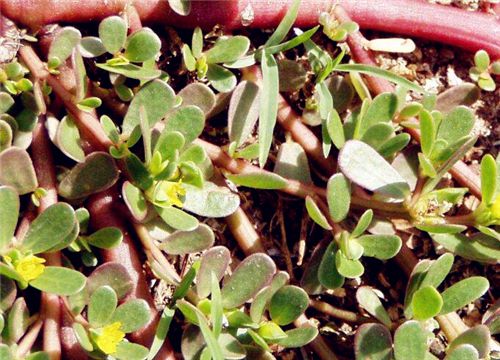 ������-����