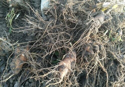 ����-����