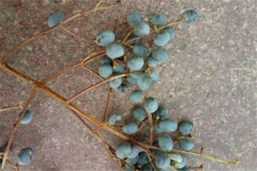 Ů����-����