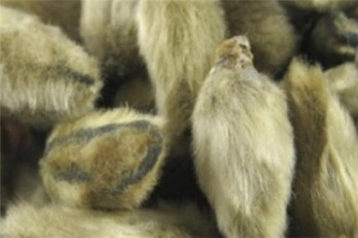 ����-����