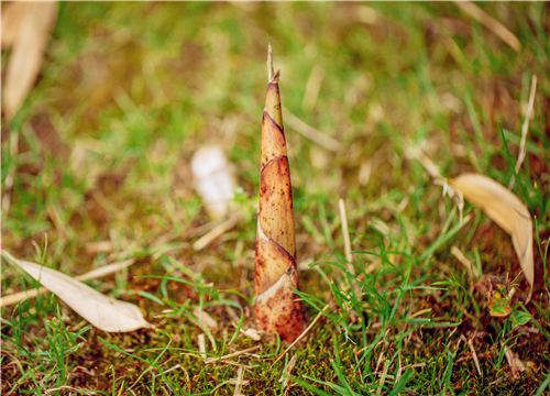 ����-��ͼ��