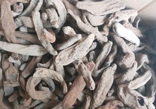 ����-����