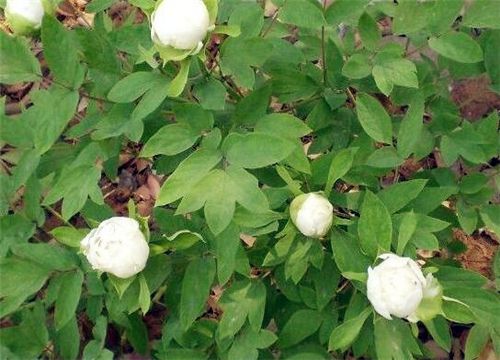 ����-����