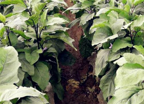 ����-����