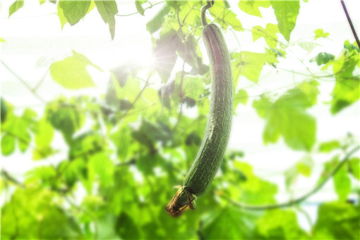 ˿��-��ͼ��