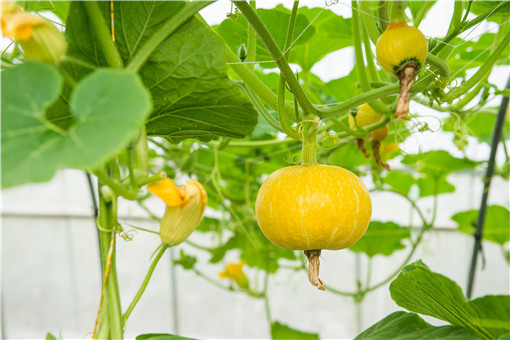 �����Ϲ�-��ͼ��