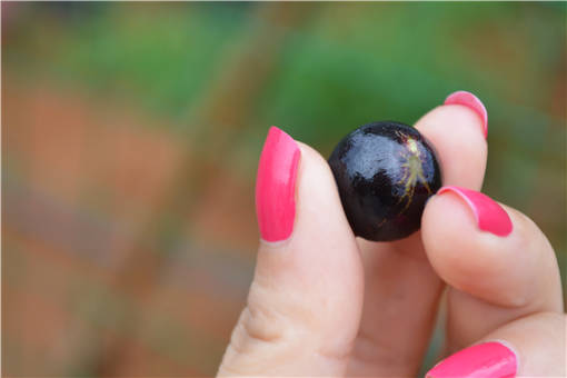 �α���-��ͼ��