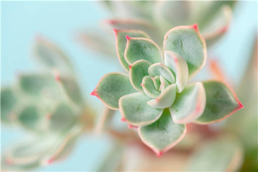 ��ĵ������-��ͼ��