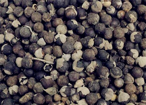 ������-����