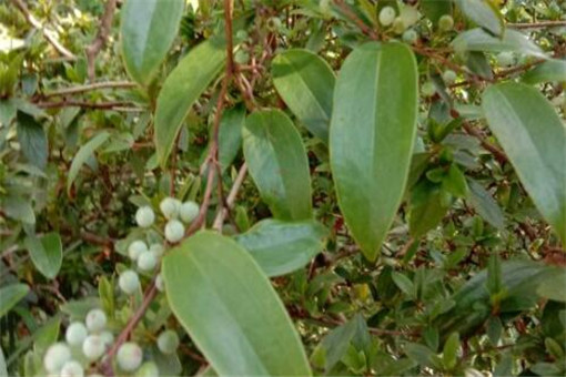 ������-����