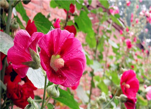 ���-��ͼ��