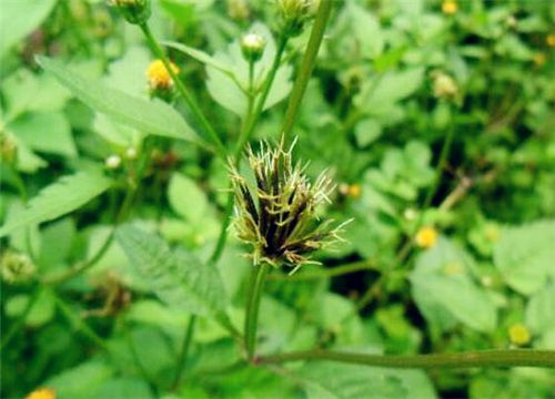 �����-����