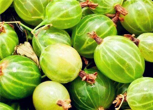 ������-����