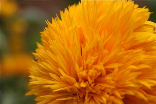 �컨-��ͼ��