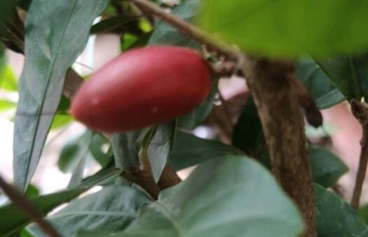 ���ع�-����