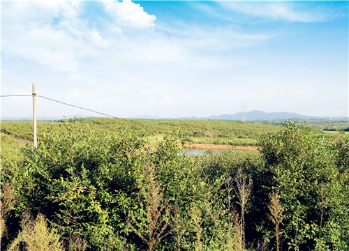 �Ͳ�-��ͼ��