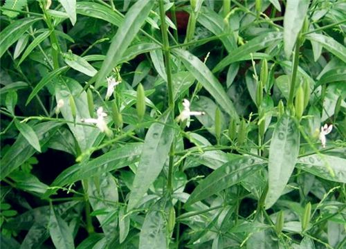 ������-����