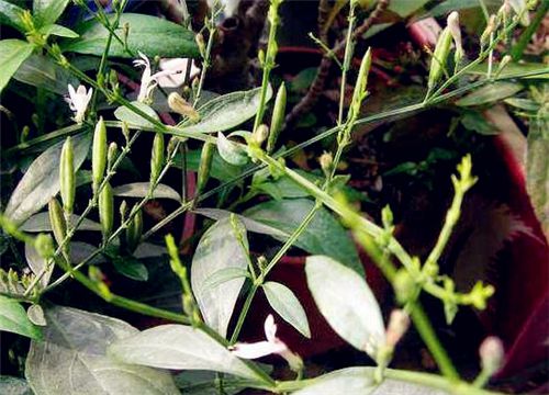 ������-����