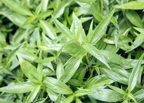 ������-����