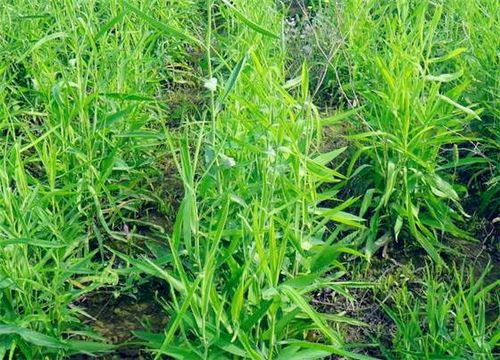 ���-����