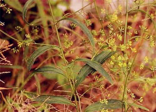 ���-����