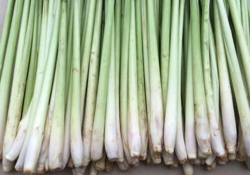 ��é��-����