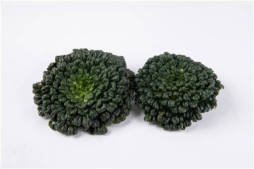 ����-��ͼ��