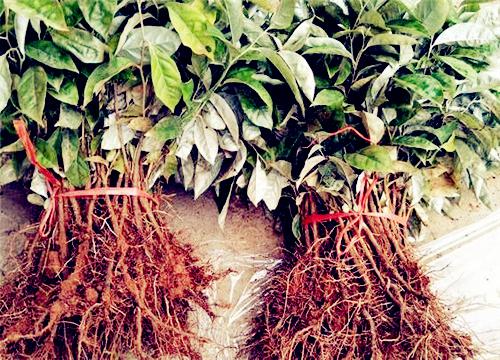 ���̹�����-����