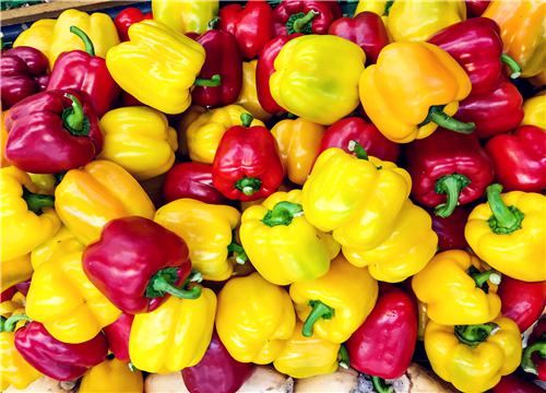 �ʽ�-��ͼ��