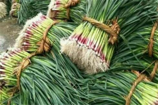 ����-����