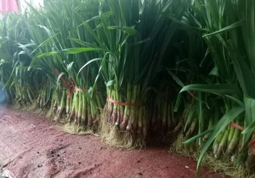 ����-����