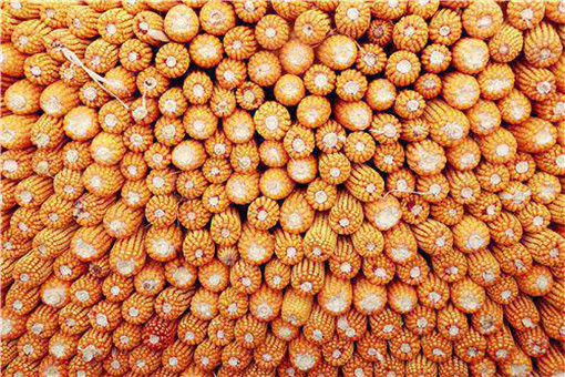 ����-��ͼ��